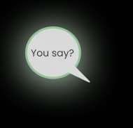 chat1